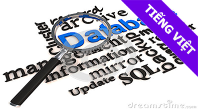 Hệ thống cơ sở dữ liệu DBI202x_01_VN_GWA