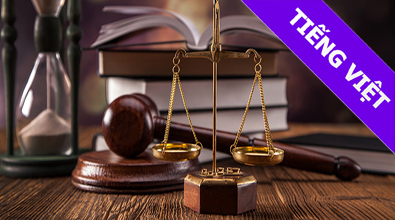 Luật LAW101x_01_VN